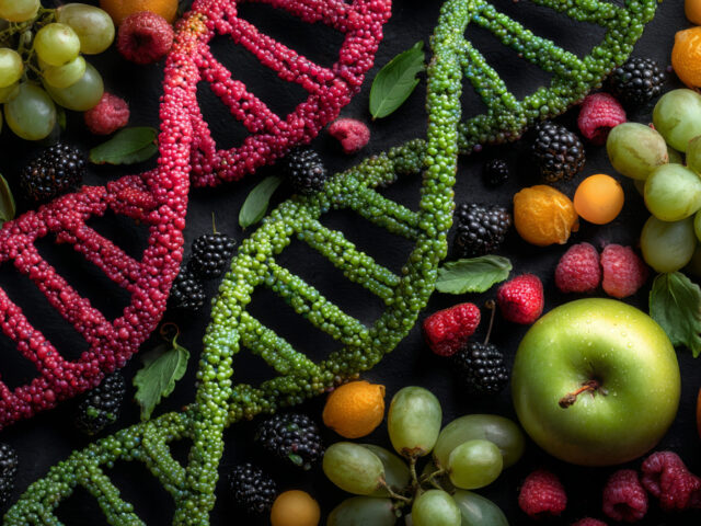 Piano alimentare personalizzato come la nutrizione influenza salute e longevità